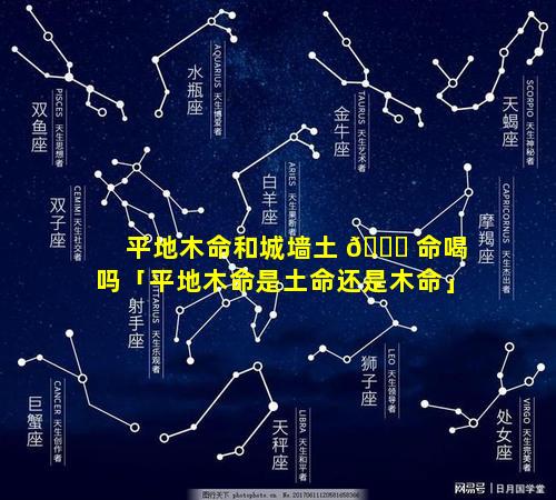 平地木命和城墙土 🐘 命喝吗「平地木命是土命还是木命」